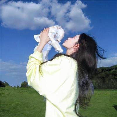 龙的新娘：龙之岛